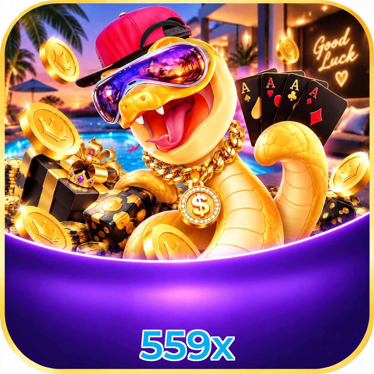 559x